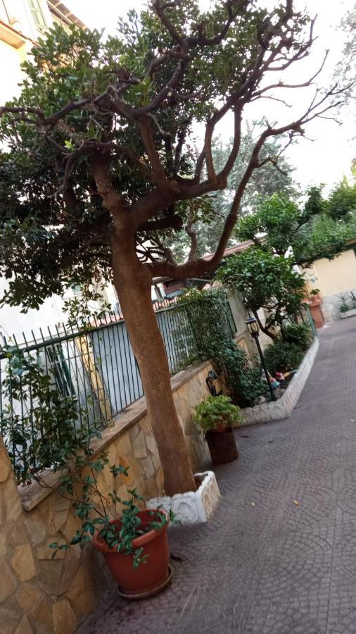 Casa Diana Apartment Rome Exterior photo